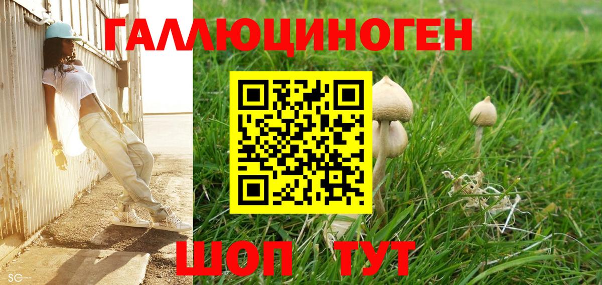 Галлюциногенные грибы Magic Shrooms  Галлюциногенные грибы Psilocybine cubensis  Вход с VPN  Карачаевск 