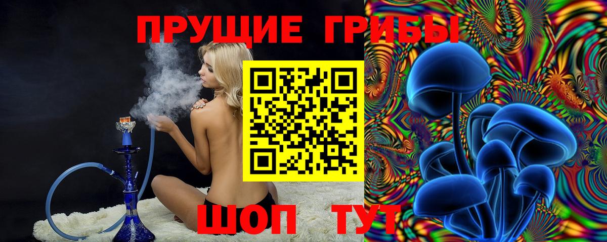 Псилоцибиновые грибы GOLDEN TEACHER Карачаевск