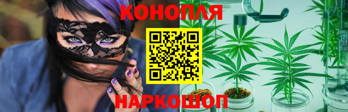 Канабис семена  Вход с VPN  Бошки марихуана конопля  Карачаевск  Шишки марихуана марихуана 